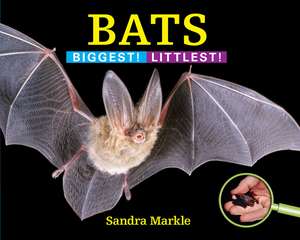 Bats: Biggest! Littlest! de Sandra Markle