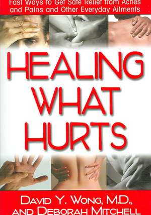 Healing What Hurts: Fast Ways to Get Safe Relief from Aches and Pains and Other Everyday Ailments de David Y. Wong