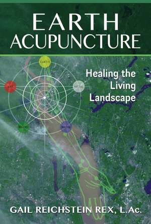 Earth Acupuncture: Healing the Living Landscape de Gail Reichstein Rex L.Ac.