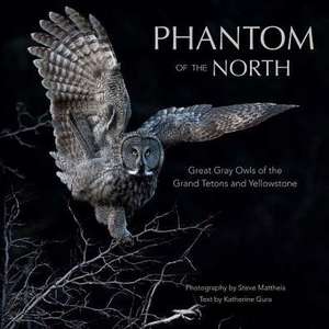 Phantom of the North: Great Gray Owls of the Grand Tetons and Yellowstone de Steve Mattheis