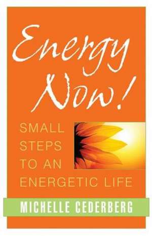 Energy Now! de B Mcginn