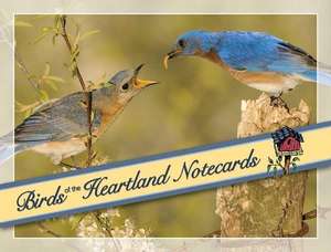 Birds of the Heartland Notecards [With 12 Envelopes]: An Activity and Learning Guide de Stan Tekiela