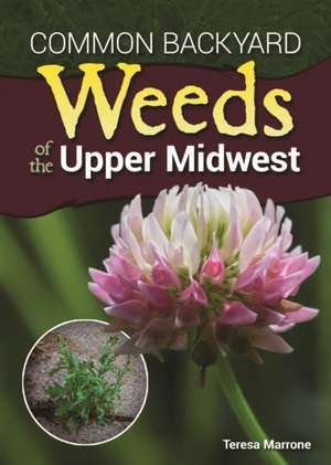 Common Backyard Weeds of the Upper Midwest de Teresa Marrone