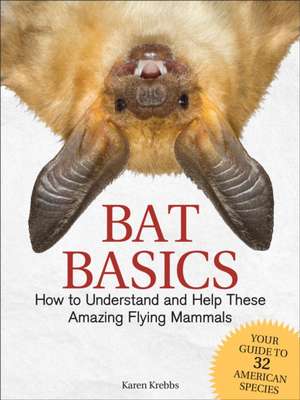 Bat Basics de Karen Krebbs