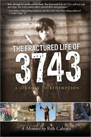 The Fractured Life of 3743: A Journey to Redemption de Rob Cabitto