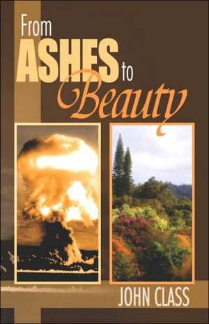 From Ashes to Beauty de John Class