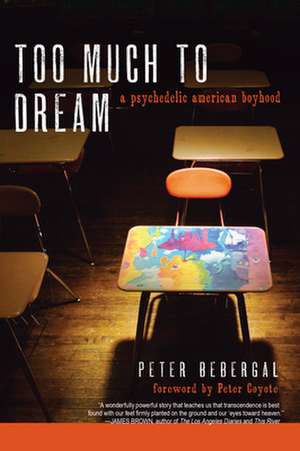 Too Much to Dream: A Psychedelic American Boyhood de Peter Bebergal