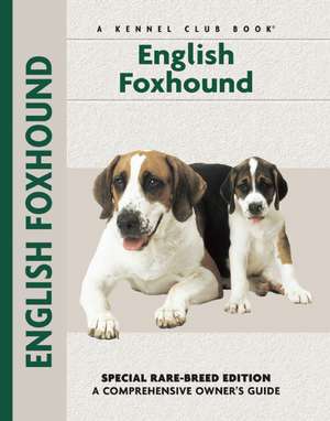 English Foxhound de Chelsea Devon