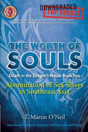 The Worth of Souls de T. Martin O'Neil