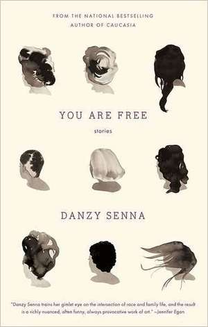 You Are Free: Stories de Danzy Senna