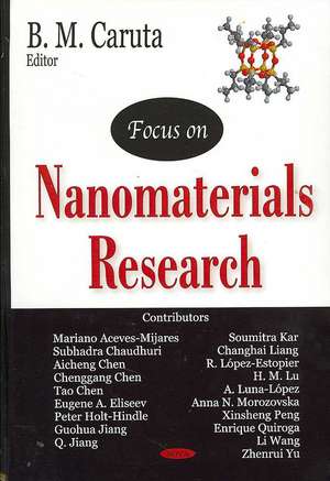 Focus on Nanomaterials Research de B. M. Caruta