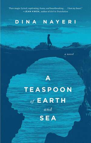 A Teaspoon of Earth and Sea de Dina Nayeri