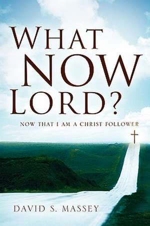 What Now Lord? de David S. Massey