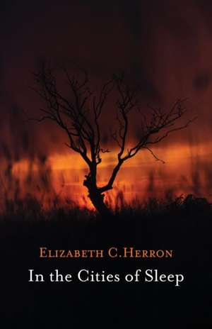 In the Cities of Sleep de Elizabeth Herron