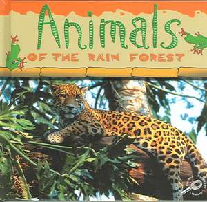 Animals of the Rain Forest de Ted O'Hare