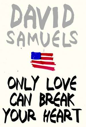 Only Love Can Break Your Heart de David Samuels