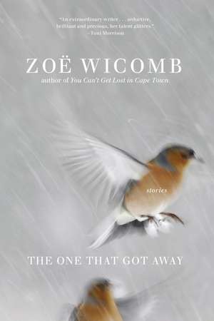 The One That Got Away: Short Stories de Zoe Wicomb