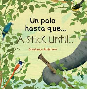 Un palo hasta que .../ A Stick Until ... de Constance Anderson