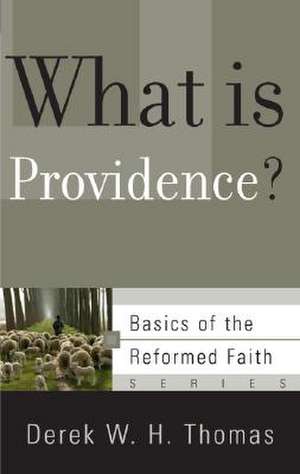 What Is Providence? de Derek W. H. Thomas