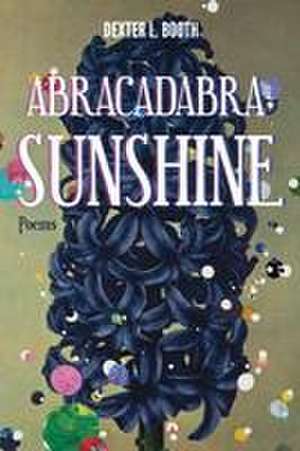 Abracadabra, Sunshine de Dexter L Booth