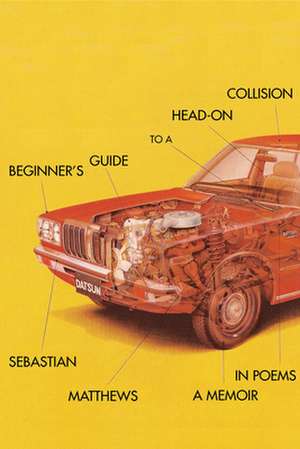 Beginner's Guide to Surviving a Head-On Collision de Sebastian Matthews