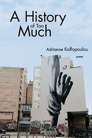 A History of Too Much de Adrianne Kalfopoulou