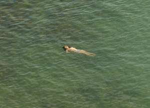 Richard Misrach: The Mysterious Opacity of Other Beings de Richard Misrach