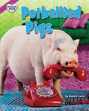 Potbellied Pigs de Natalie Lunis