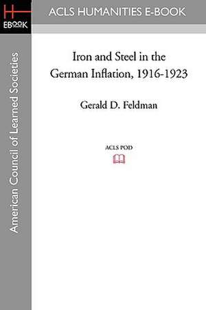 Iron and Steel in the German Inflation, 1916-1923 de Gerald D. Feldman