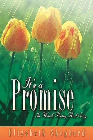 It's a Promise de Elizabeth Shepherd