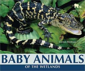 Baby Animals of the Wetlands de Carmen Bredeson