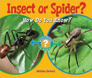 Insect or Spider?: How Do You Know? de Melissa Stewart