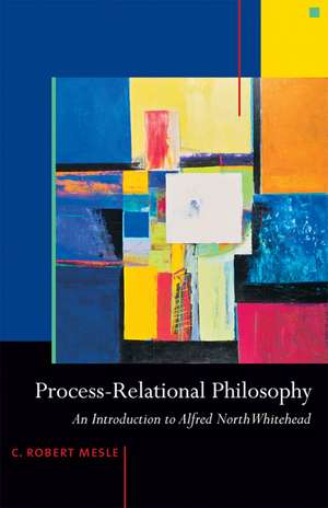 Process-Relational Philosophy: An Introduction to Alfred North Whitehead de C. Robert Mesle