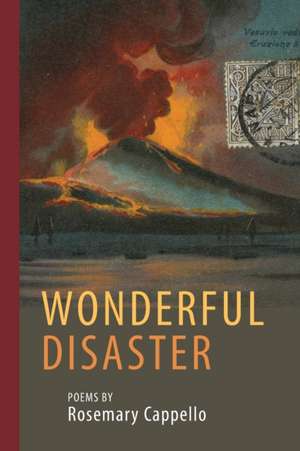 Wonderful Disaster de Rosemary Cappello