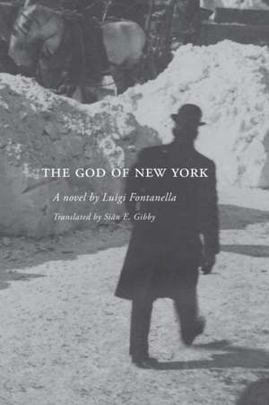 The God of New York de Luigi Fontanella