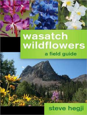 Wasatch Wildflowers de Steve Hegji