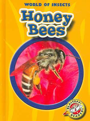 Honey Bees de Colleen A. Sexton