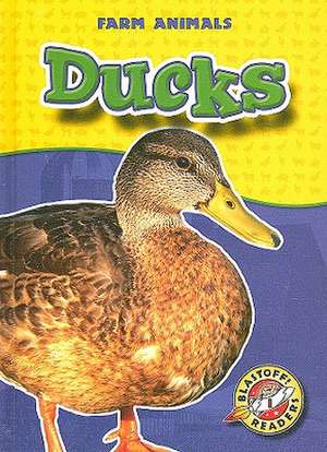 Ducks de Hollie J. Endres