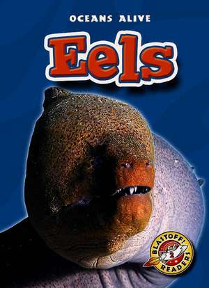 Eels de Derek Zobel