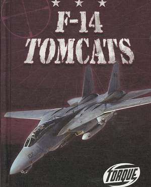 F-14 Tomcats de Jack David