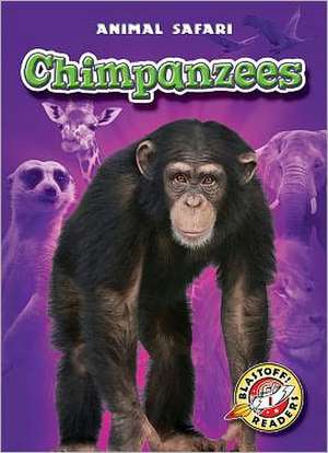 Chimpanzees de Derek Zobel