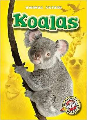 Koalas de Kari Schuetz