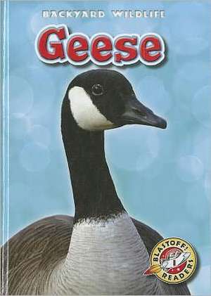 Geese de Megan Borgert-Spaniol