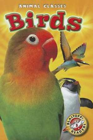 Birds de Kari Schuetz