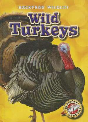 Wild Turkeys de Kristin Schuetz