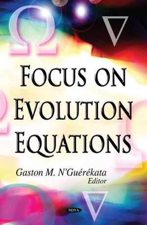 Focus on Evolution Equations de Gaston M. N'Guerekata