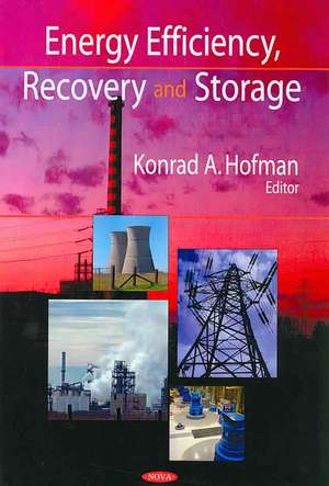 Energy Efficiency, Recovery and Storage de Konrad A. Hofman