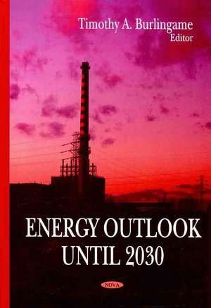 Energy Outlook Until 2030 de Timothy A. Burlingame