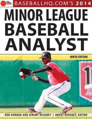 Minor League Baseball Analyst de Rob Gordon