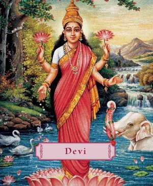 Devi: The Divine Goddess de James H. Bae